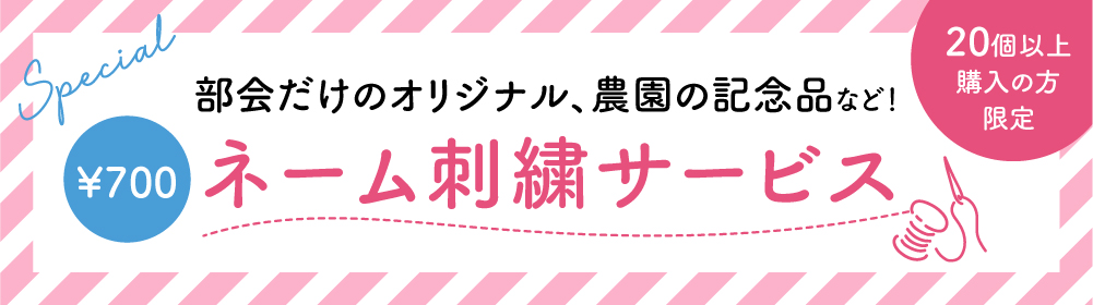 20個以上お買い上げのお客様限定 刺繍がいれられます！